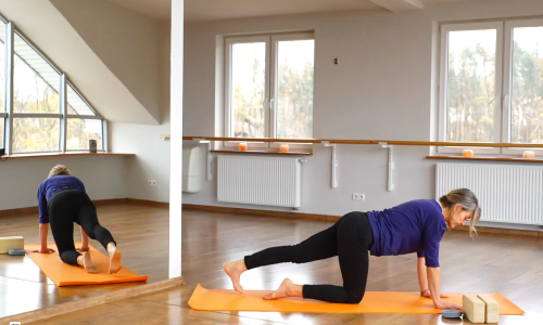 Joga 50 +